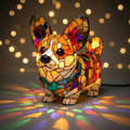 Oslnivý Corgi